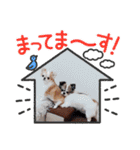 まとふぁみ2（個別スタンプ：9）