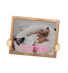 まとふぁみ2（個別スタンプ：10）