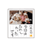 まとふぁみ2（個別スタンプ：13）