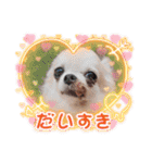 まとふぁみ2（個別スタンプ：15）