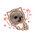 まとふぁみ2（個別スタンプ：18）