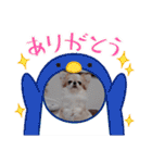 まとふぁみ2（個別スタンプ：19）