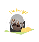 まとふぁみ2（個別スタンプ：28）
