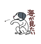 バドバド犬猫生活〜犬猫の心の叫び 第3弾（個別スタンプ：13）