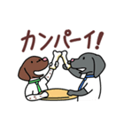 バドバド犬猫生活〜犬猫の心の叫び 第3弾（個別スタンプ：15）