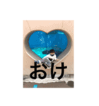 おけ。（個別スタンプ：1）