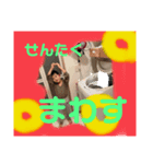 おけ。（個別スタンプ：3）