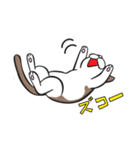 いつも眠いニャンコPINO（個別スタンプ：25）