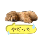 TSUMUJI 2（個別スタンプ：7）