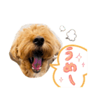 TSUMUJI 2（個別スタンプ：11）