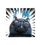 おもろい動物たち（個別スタンプ：4）