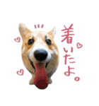 おもろい動物たち（個別スタンプ：5）