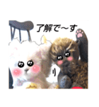 可愛いテディベア達 女性用 オシャレ動物～（個別スタンプ：8）
