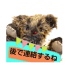 可愛いテディベア達 女性用 オシャレ動物～（個別スタンプ：9）