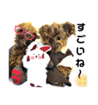 可愛いテディベア達 女性用 オシャレ動物～（個別スタンプ：14）