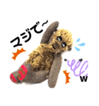 可愛いテディベア達 女性用 オシャレ動物～（個別スタンプ：16）