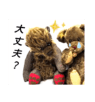可愛いテディベア達 女性用 オシャレ動物～（個別スタンプ：21）