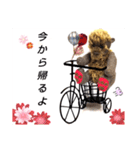 可愛いテディベア達 女性用 オシャレ動物～（個別スタンプ：28）