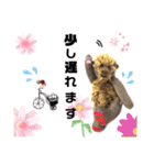 可愛いテディベア達 女性用 オシャレ動物～（個別スタンプ：29）
