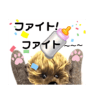 可愛いテディベア達 女性用 オシャレ動物～（個別スタンプ：32）