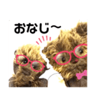 可愛いテディベア達 女性用 オシャレ動物～（個別スタンプ：36）