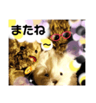 可愛いテディベア達 女性用 オシャレ動物～（個別スタンプ：40）