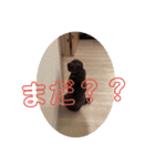 ベアたん2（個別スタンプ：2）