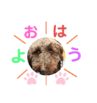 ベアたん2（個別スタンプ：6）