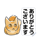 猫様いっぱい〜香箱座り その1〜（個別スタンプ：7）