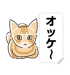 猫様いっぱい〜香箱座り その3〜（個別スタンプ：7）