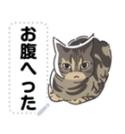 猫様いっぱい〜香箱座り その3〜（個別スタンプ：14）