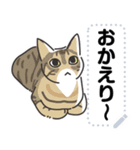 猫様いっぱい〜香箱座り その3〜（個別スタンプ：19）