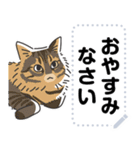 猫様いっぱい〜香箱座り その3〜（個別スタンプ：20）