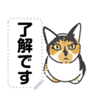 猫様いっぱい〜香箱座り その7〜（個別スタンプ：13）