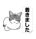 猫様いっぱい〜香箱座り その8〜（個別スタンプ：15）