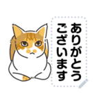 猫様いっぱい〜香箱座り その9〜（個別スタンプ：2）