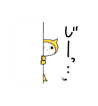 かぶりねこ3（個別スタンプ：12）