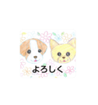 可愛い動物達のスタンプ2 色鉛筆画（個別スタンプ：13）