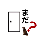 犬いぬイヌ ダックス スタンプ3（個別スタンプ：11）