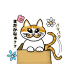 いたずら猫のロキ（個別スタンプ：39）