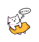 桃ねこ（個別スタンプ：20）