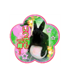 第2回フォトコンテスト（個別スタンプ：1）