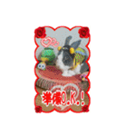 第2回フォトコンテスト（個別スタンプ：4）