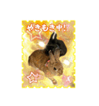 第2回フォトコンテスト（個別スタンプ：5）