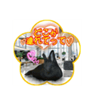 第2回フォトコンテスト（個別スタンプ：6）