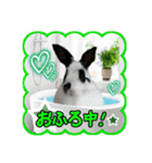第2回フォトコンテスト（個別スタンプ：7）