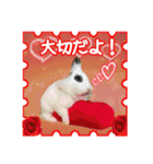第2回フォトコンテスト（個別スタンプ：12）