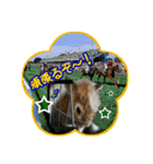 第2回フォトコンテスト（個別スタンプ：13）