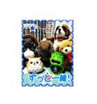 第2回フォトコンテスト（個別スタンプ：17）
