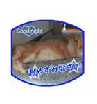 第2回フォトコンテスト（個別スタンプ：21）